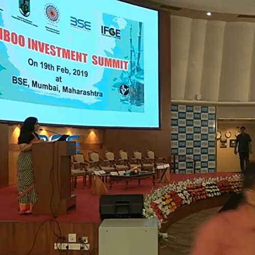 Bamboo Investment Summit